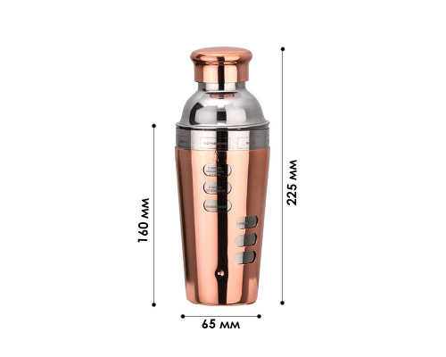 Шейкер для коктейлей FS7263 из нержавеющей стали 600 мл с рецептами Rose Gold