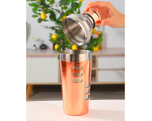 Шейкер для коктейлей FS7263 из нержавеющей стали 600 мл с рецептами Rose Gold