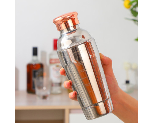 Шейкер для коктейлей FS7263 из нержавеющей стали 600 мл с рецептами Rose Gold