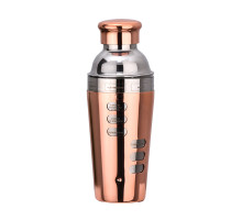 Шейкер для коктейлей FS7263 из нержавеющей стали 600 мл с рецептами Rose Gold