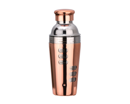 Шейкер для коктейлей FS7263 из нержавеющей стали 600 мл с рецептами Rose Gold
