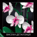 Конструктор цветы Орхидея в горшке Botanic Orchid на 608 деталей