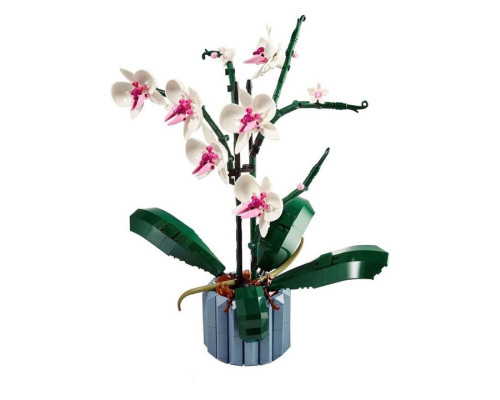 Конструктор цветы Орхидея в горшке Botanic Orchid на 608 деталей Конструктор цветы Орхидея в горшке Botanic Orchid на 608 деталей