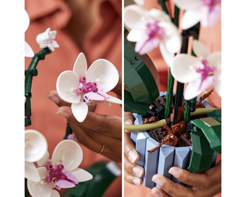 Конструктор цветы Орхидея в горшке Botanic Orchid на 608 деталей Конструктор цветы Орхидея в горшке Botanic Orchid на 608 деталей
