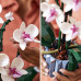 Конструктор цветы Орхидея в горшке Botanic Orchid на 608 деталей